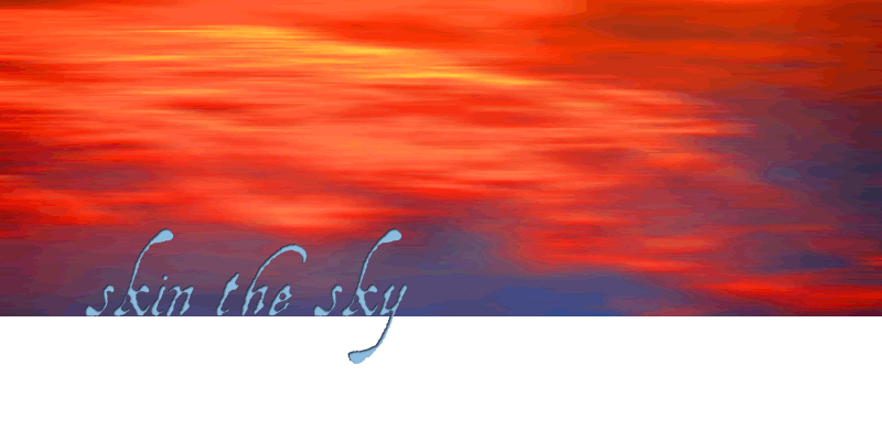 Skin the Sky